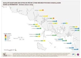 Qualité sanitaire des sites de pêche à pied récréative des coquillages dans le Morbihan - Années 2022 à 2025