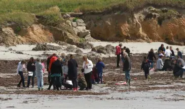 photo Réalisation du protocole ALAMER par une classe de CM1-CM2