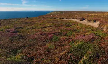 Photo Les landes de la pointe de Pen-Hir 