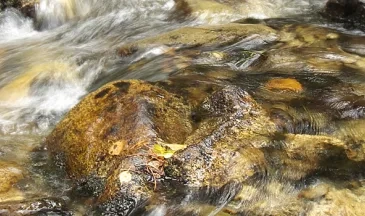 Photo Cours d'eau