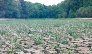 Photo sécheresse