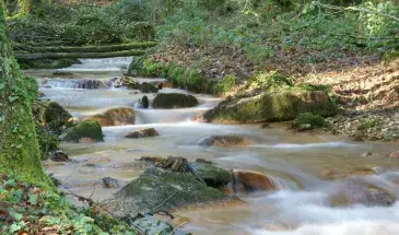 Cours d'eau