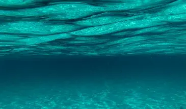 Surface de la mer