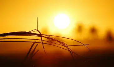 Soleil chaleur