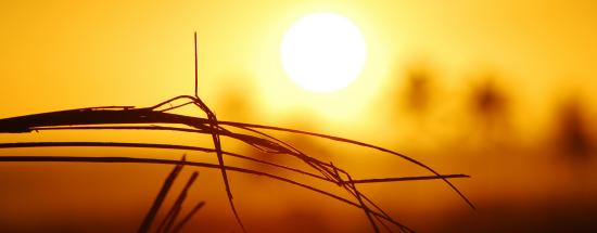 Soleil chaleur