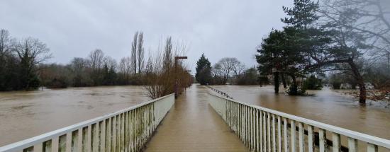 Inondation des prairies Saint-Martin à Rennes en janvier 2025
