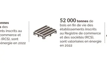 Connexes de scierie, bois en fin de vie et bois de végétaux