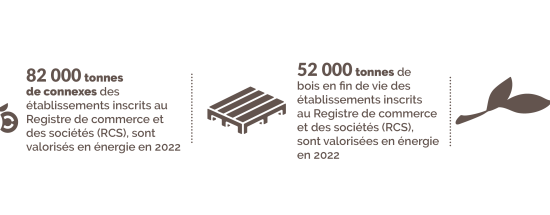 Connexes de scierie, bois en fin de vie et bois de végétaux