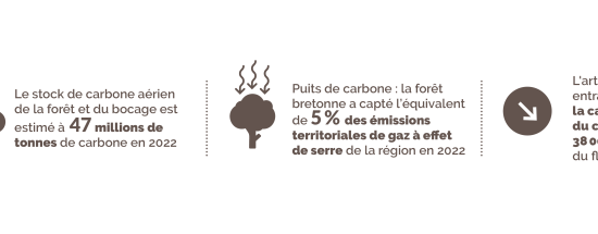 Enjeux environnementaux du bois et stockage de carbone