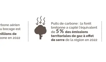 biomasse_banniere_enjeux_envi_bois