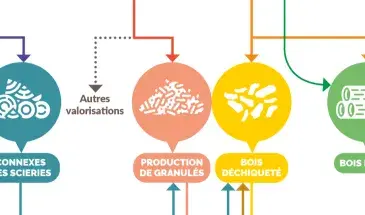 banniere flux de bois-énergie Bretagne