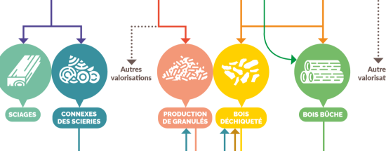 banniere flux de bois-énergie Bretagne