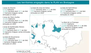 Aperçu du tableau de bord interactif