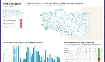 Aperçu du tableau de bord interactif