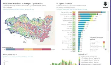 Aperçu du tableau de bord interactif