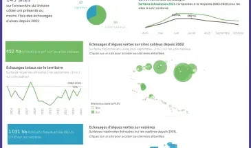 Les échouages d'ulves sur le littoral breton