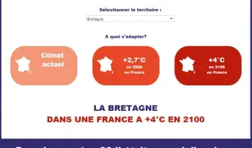 vignette tableau