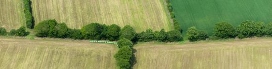 Photo Bocage et haies