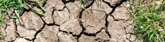 sol fissuré par la sécheresse