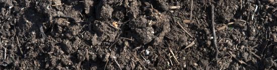 Photo compost