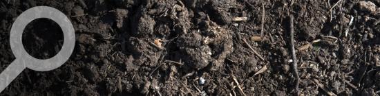 Photo compost