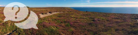 Photo Les landes de la pointe de Pen-Hir 