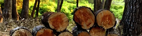 Photo Coupe de bois bûche