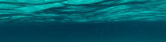 Surface de la mer