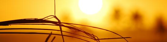 Soleil chaleur