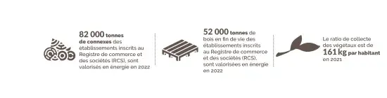 Connexes de scierie, bois en fin de vie et bois de végétaux