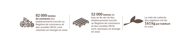 Connexes de scierie, bois en fin de vie et bois de végétaux