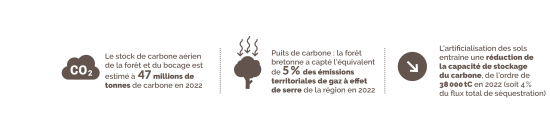 Enjeux environnementaux du bois et stockage de carbone