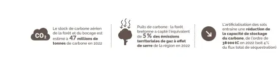 biomasse_banniere_enjeux_envi_bois
