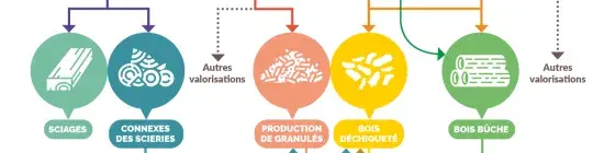 banniere flux de bois-énergie Bretagne