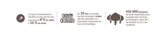 Ressource forestière en Bretagne : boisement et récolte