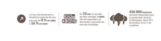 Ressource forestière en Bretagne : boisement et récolte