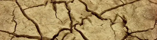 Sol fissuré argileux