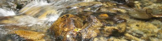 Photo Cours d'eau