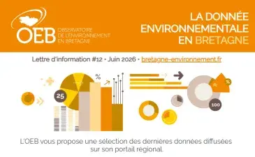 Lettre d'information #12 • Juin 2026