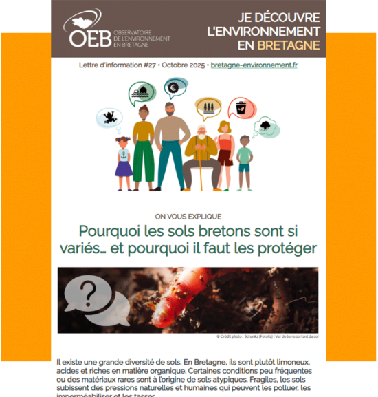 Lettre d'information #28 • Novembre 2025