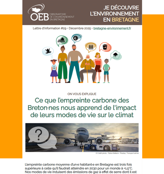 Lettre d'information #29 • Décembre 2025