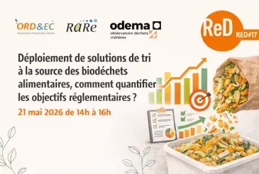 Affiche Webinaire #RED 17
