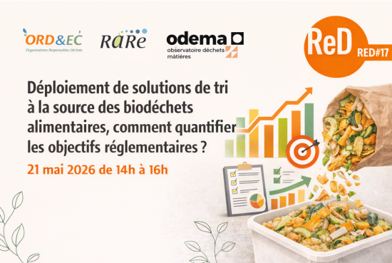 Affiche Webinaire #RED 17