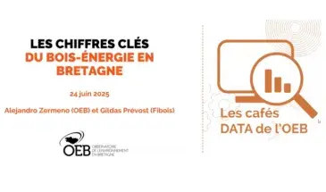 Capture café data bois énergie