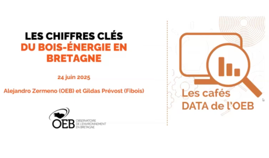 Capture café data bois énergie