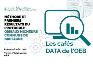 café data Méthode et premiers résultats du protocole Oiseaux Nicheurs Communs