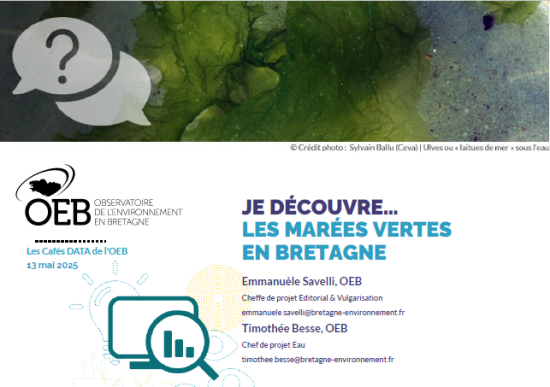 logo Café DATA marées vertes