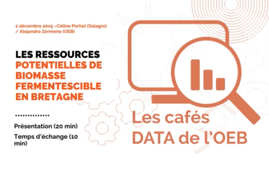 logo Café DATA