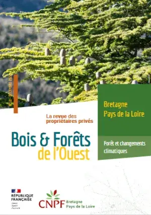 logo bois foret 10