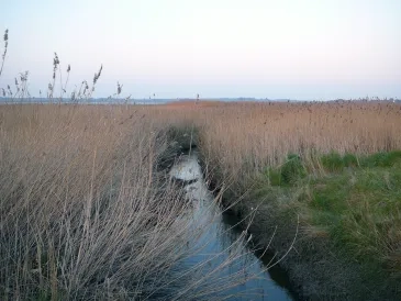 Photo ruisseau du Lienne